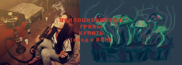 стаф Алексеевка