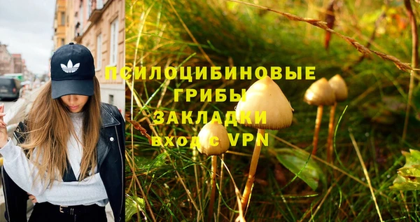 стафф Алексин
