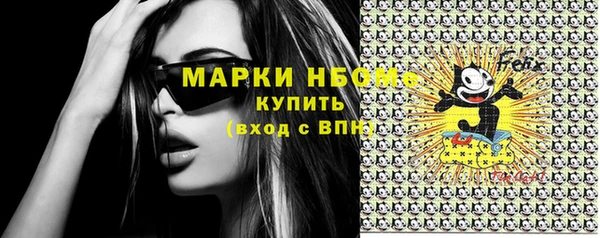 стафф Алексин