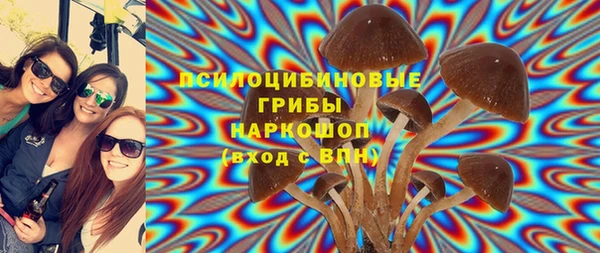стафф Алексин