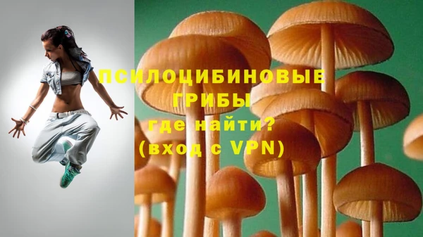 стафф Алексин