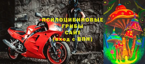 стафф Алексин